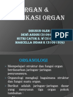 Biologi Perkembangan - Organ & Modifikasi Organ Tumbuhan