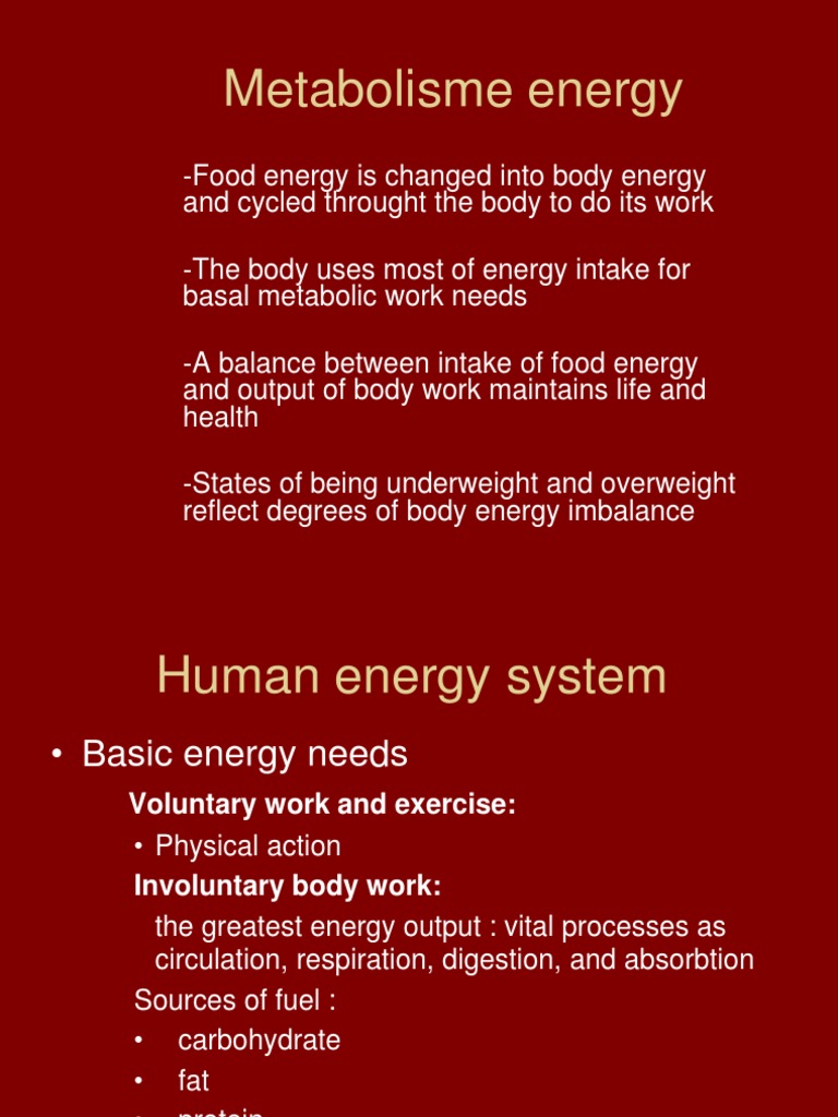 Energy Balance PDF Food Energy Glycogen