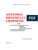  Anatomia Sistemului Excretor