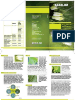 Folder Mosca Opcao1 PDF