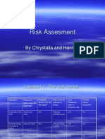 Risk Assesment: by Chrystalla and Hannah