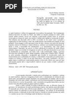 atenção primária no sistema público de saúde