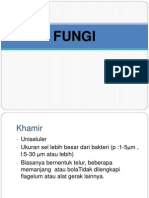 FUNGI.pptx