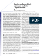 Manipulating and Understanding Antibiotic Production in Streptomyces Coelicolor A3 (2) With Decoy Oligonucleotides