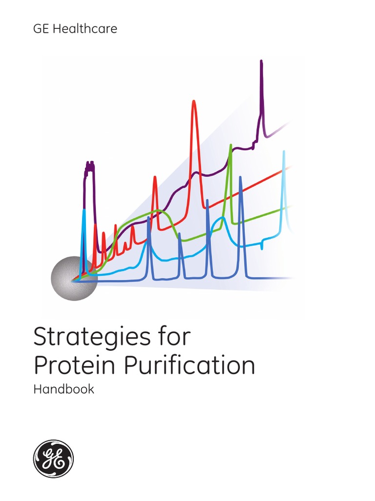 Strategies For Protein Purification PDF Elution Chromatography