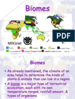 land biomes - desert  forest
