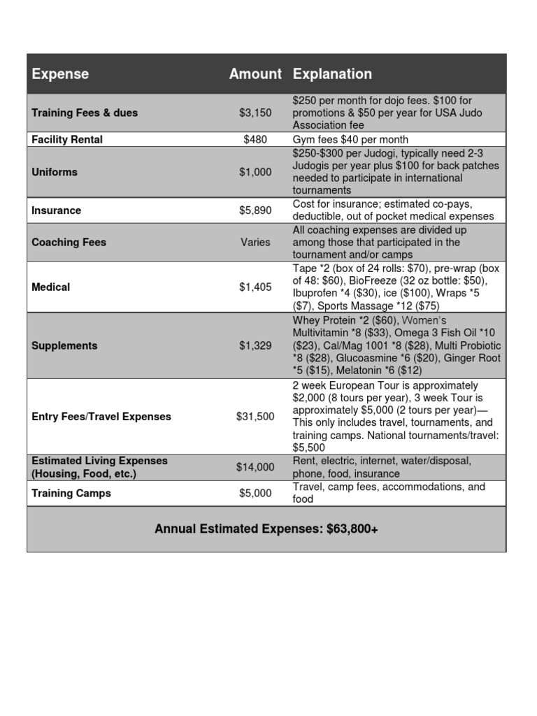 Annual budget pdf