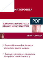Hematopoieza (1)