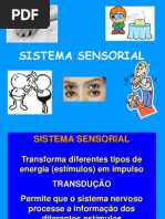 aula 3- Sistema sensorial Fisio Humana.ppt