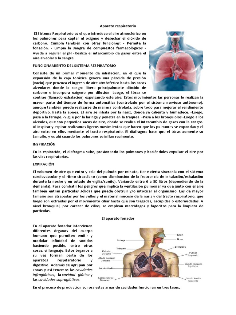 Aparato Respiratorio Fonador y Resonador