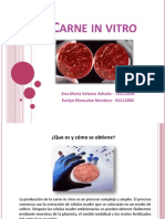 Presentacion-Carne in Vitro (1)