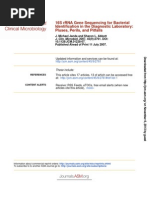 Download 16sRNA use for identification of bacteria by Hana Greeno SN212977559 doc pdf