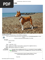 File Gaia Basenji