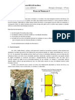 BioGeo10 Ficha de Trabalho - Dinossauros