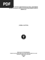 Download Chromosome Sizes and Restriction Patterns Analysis of  Bacillus thuringiensis by Pulsed Field Electrophoresis by asblackfoot SN21298860 doc pdf