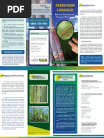 Folder Cana Ferrugem Laranja