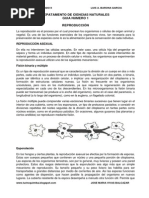 Guia Reproduccion No. 1