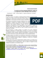 Crónica Agroforestal. Cafetal Ecológico Con Sombrío.