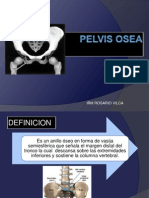 Pelvis Osea2