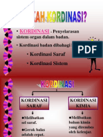 korsaraf1