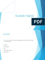 Exudado Vaginal