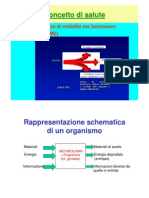 Relazione Prof Tamino