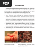 Download Faktor Intrinsik Dan Ekstrinsik Koagulasi by Princess Mira SN213067766 doc pdf