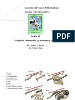 013 2012 AV2 Irrig Inerv Abdomen,Pelvis