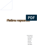 Plutirea Vapoarelor