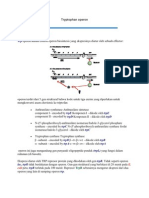 Tryptophan Operon