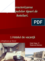 Caracterizarea Principalelor Tipuri de Hoteluri