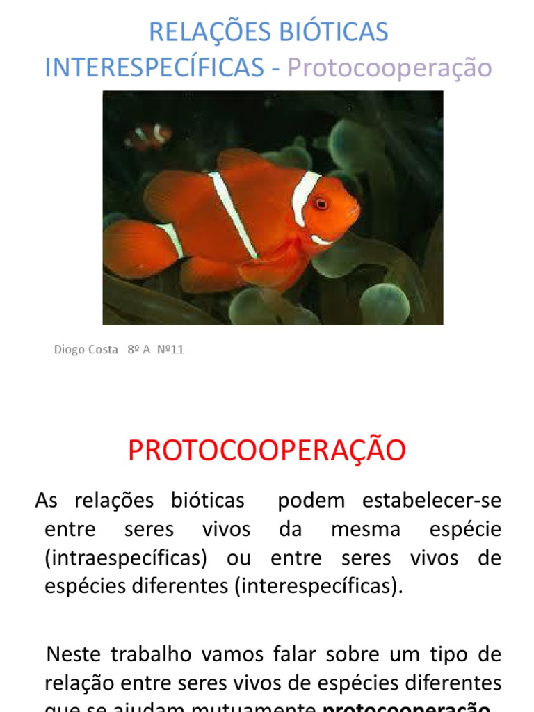 Exemplos de Protocooperação na Natureza | PDF | Ciências e Matemática