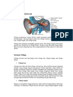 Sistem Indera