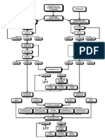 formación de la ley - uruguay