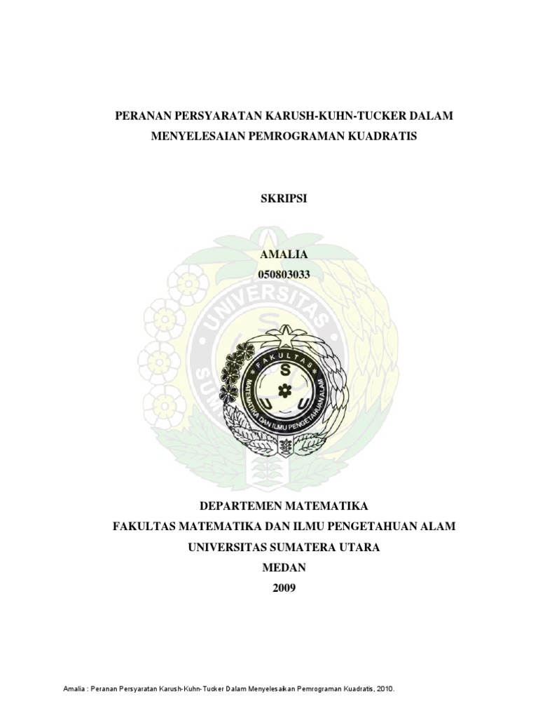 Example KKT | PDF