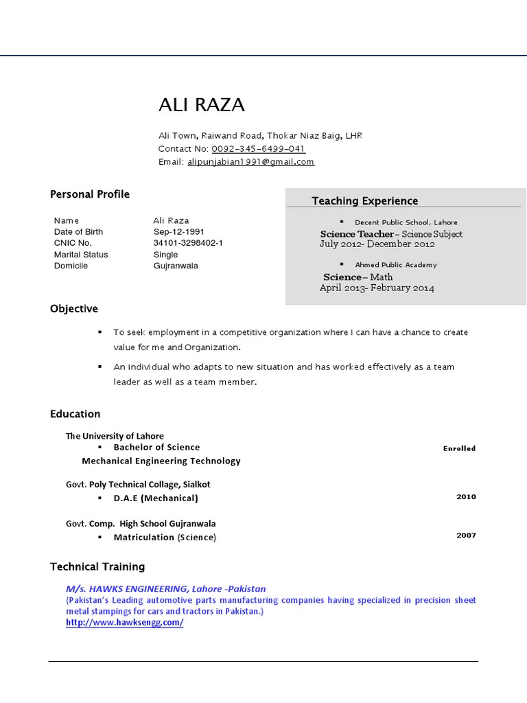 Ali Raza: CV and Professional Profile | PDF | Business | Art