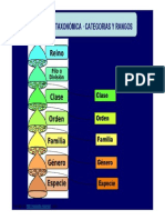 Jerarquia Taxonomica Botanica y Nominacion PDF