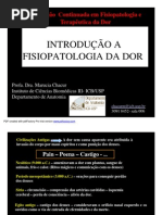 Aula de Introducao a Fisiopatologia Da Dor