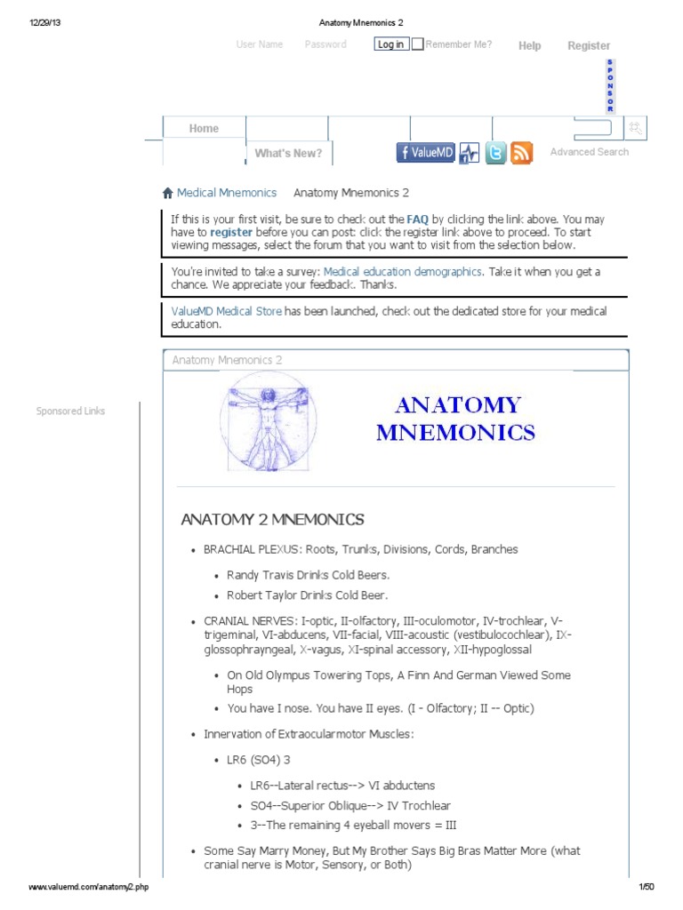 Anatomy Mnemonics 2 Common Carotid Artery Anatomical Terms Of Location
