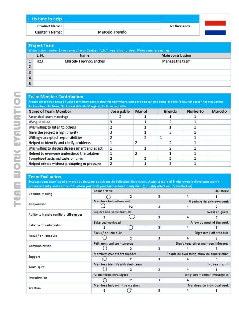 Team Performance Evaluation Template | PDF