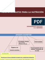 tema4-aparatos-y-c3b3rganos-de-excrecic3b3n.pdf