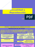reproduccion.pdf