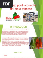 Principales Actividades Economicas de Tabasco | PDF | México | Petróleo