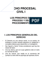 DPC I - Principios Del Proceso y Del Procedimiento