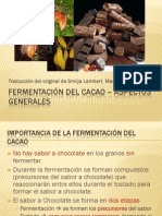 19 Fermentacion Del Cacao