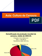 Aula Cenoura 11