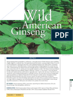 Wild American Ginseng