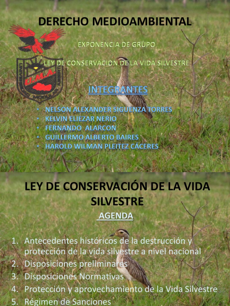 Conservacion de La Vida Silvestre Grupo 3
