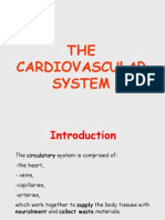 8. Circulatory System FKM'12