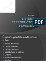 sistemareproductorfemeninomio-101027213552-phpapp01